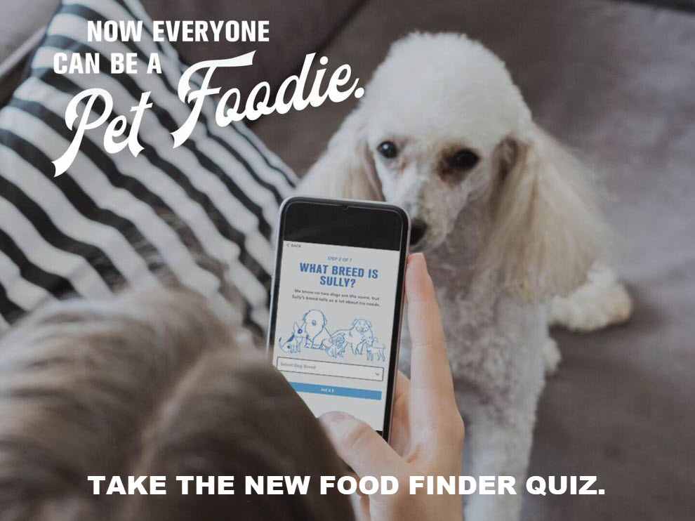 New Interactive Tool Focuses on Customizing Diets for Dogs