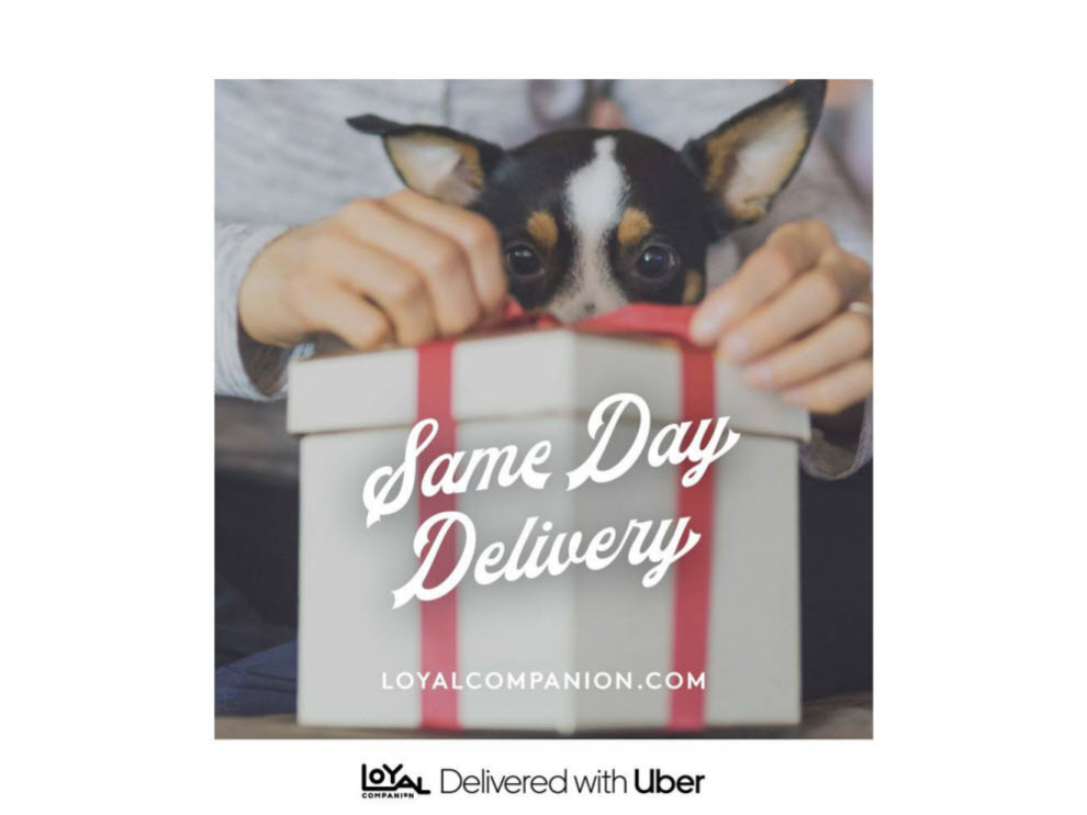 Independent Pet Partners Teams Up with Uber to Offer Same-Day Delivery